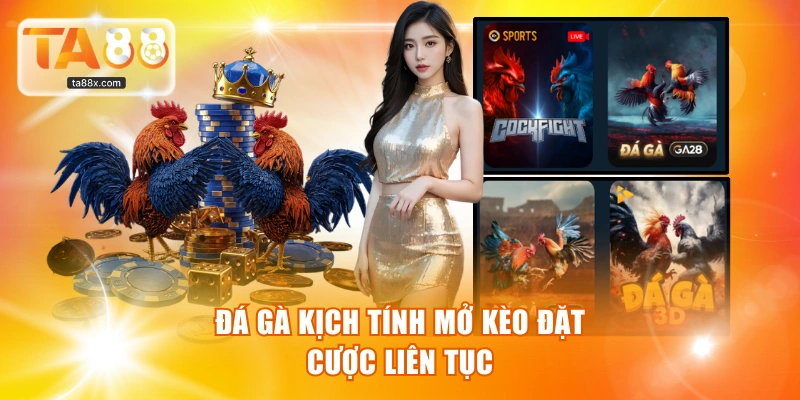 Đá gà kịch tính mở kèo đặt cược liên tục