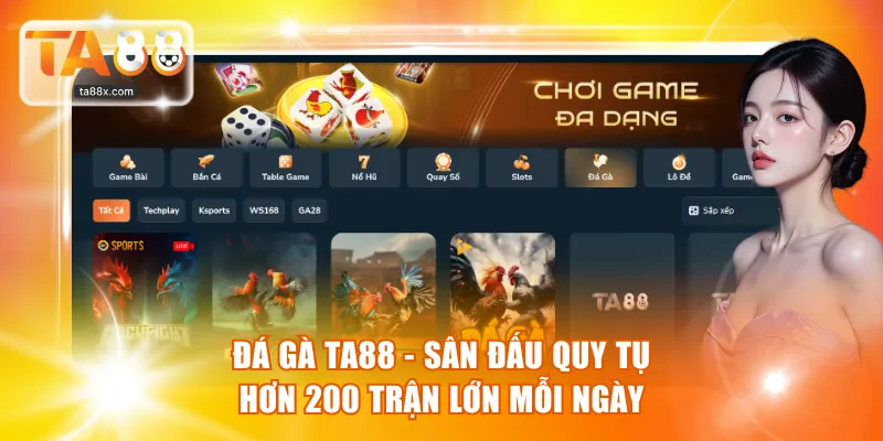 Đá Gà TA88 - Sân Đấu Quy Tụ Hơn 200 Trận Lớn Mỗi Ngày