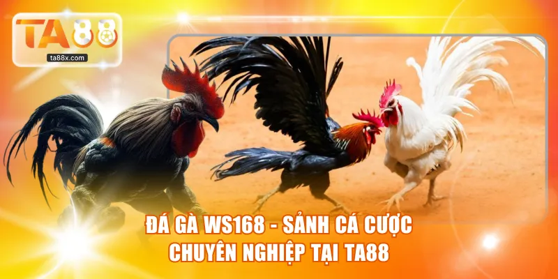 Đá Gà WS168