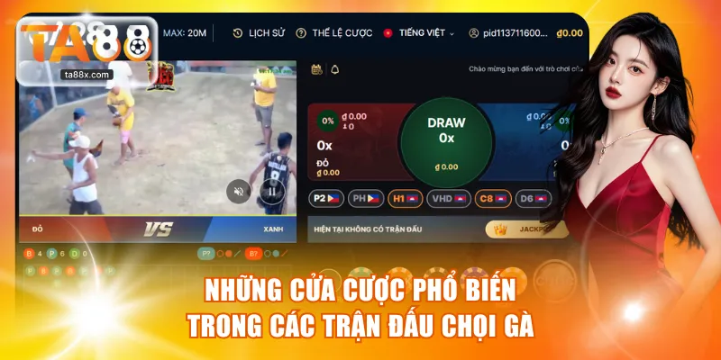 Những cửa cược phổ biến trong các trận đấu chọi gà