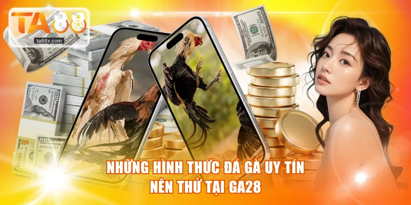 Tổng hợp các hình đấu kê nên thử tại GA28