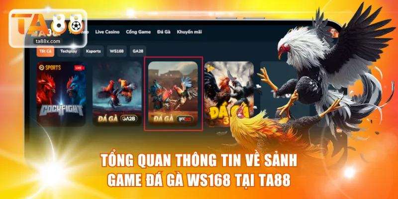 Tổng quan thông tin về sảnh game Đá Gà WS168 tại TA88